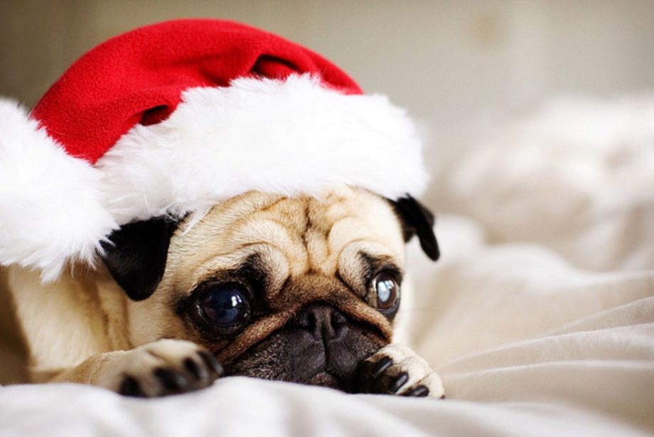 Christmas Blues: come gestire e tenere lontano la depressione di Natale