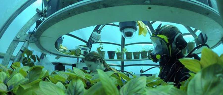 L'agricoltura del futuro sta in un orto sottomarino