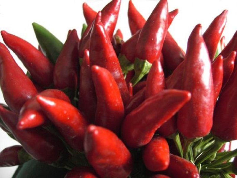 Peperoncino: proprietà per la salute e valori nutrizionali