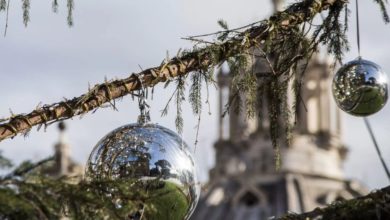 Spelacchio: le 5 falsità sull'albero di Natale di Roma [VIDEO]