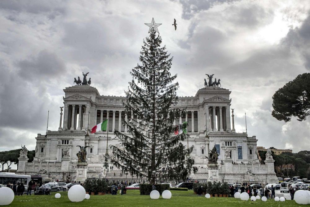 Riciclare gli alberi di Natale: anche Spelacchio avrà la sua rivincita [VIDEO]