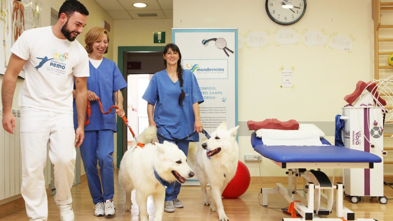 Quattrozampe in corsia: cani fisioterapisti per i malati di Sla
