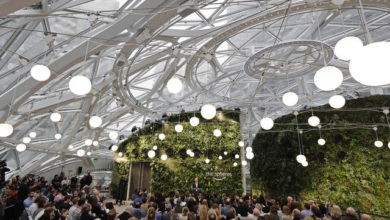 Amazon Spheres: una foresta pluviale nel cuore della città