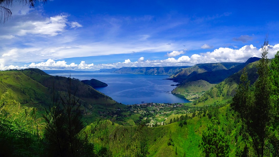 Scoperta una nuova specie di uccello in Indonesia