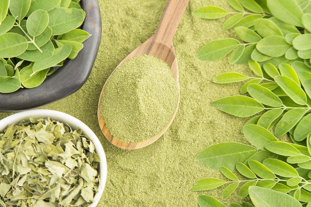 Moringa: dall'India il superfood che promette miracoli