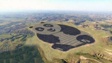 Costruito un impianto fotovoltaico a forma di panda: ecco dove