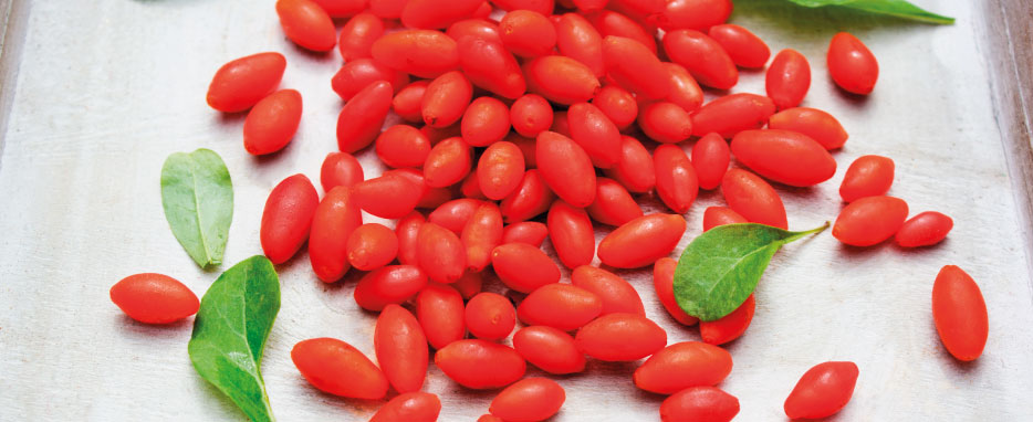 Bacche di goji: i benefici e le ricette