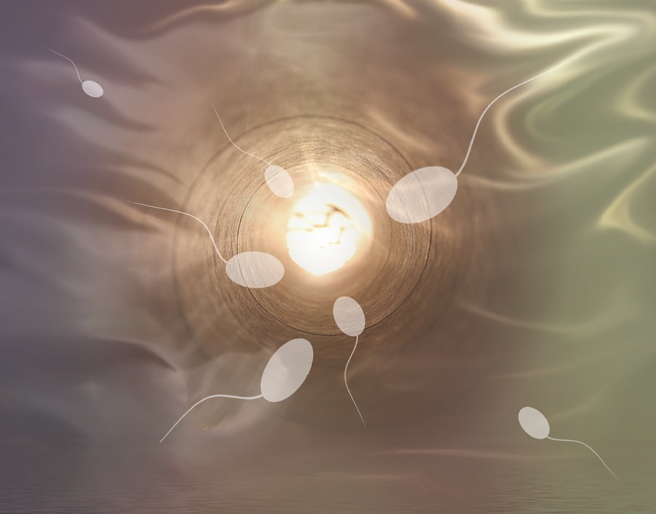 Fertilità maschile: l'inquinamento minaccia gli spermatozoi