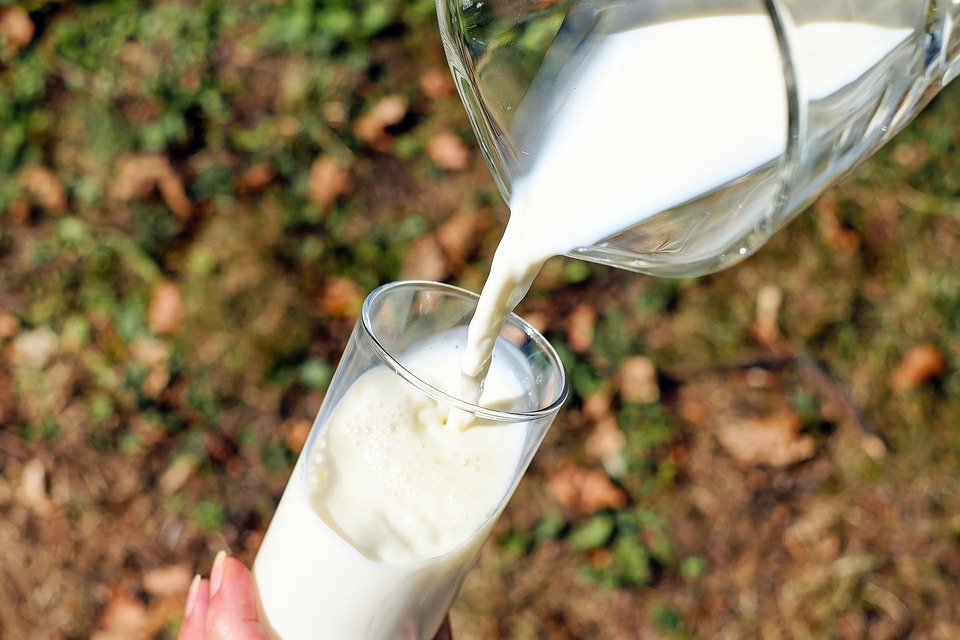 Bioplastica: il packaging realizzato con gli scarti di lavorazione del latte
