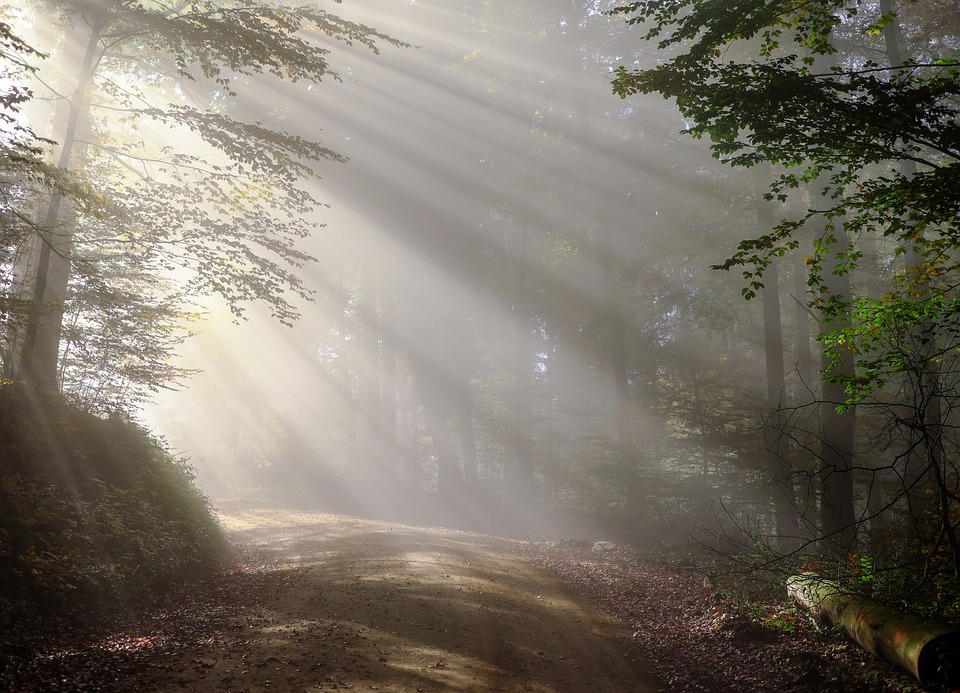 La nebbia aumenta la tossicità delle polveri sottili. Lo studio ISAC-CNR