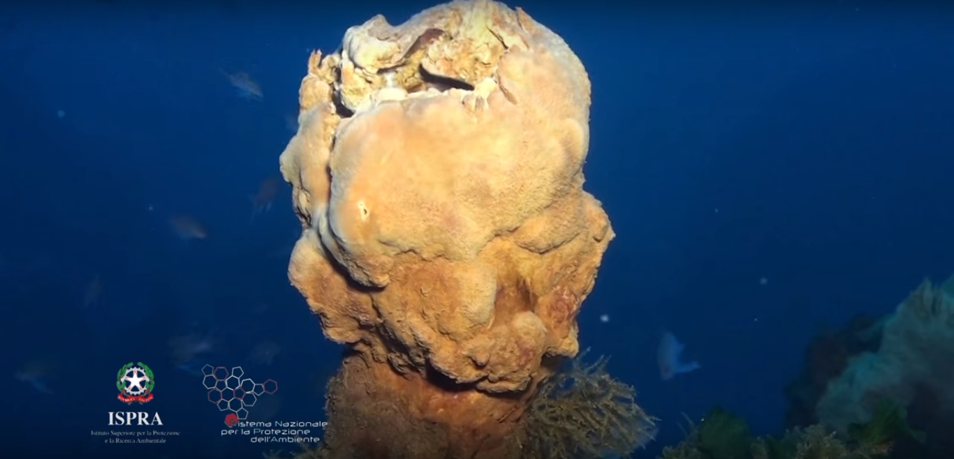 Scoperti oltre 200 camini vulcanici nell'arcipelago delle Eolie. Il video