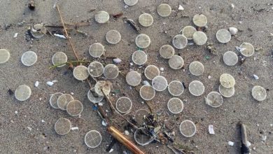 Dischetti di plastica invadono le spiagge italiane: disastro ambientale