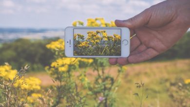 PlantNet: arriva l'app che riconosce i nomi di piante e fiori