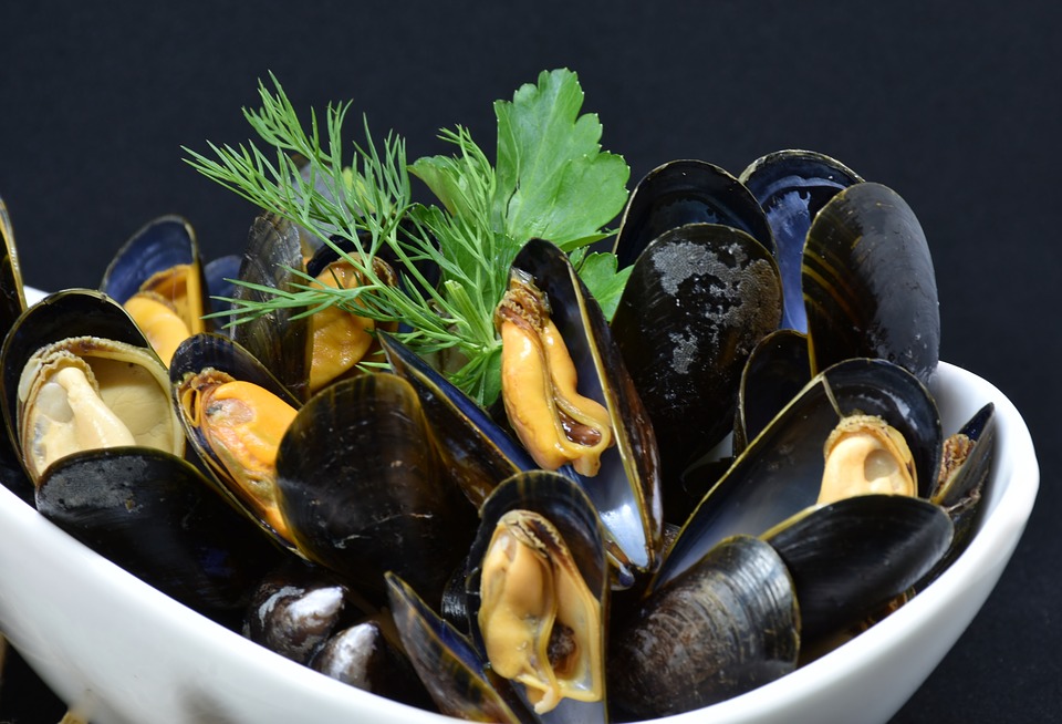 Allarme alimentare: cozze contaminate da escherichia coli in Italia