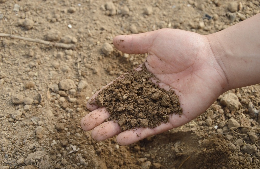 Salento, la terra è avvelenata