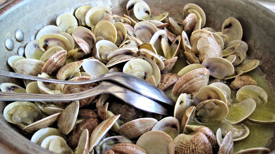 Allarme alimentare, vongole veraci contaminate da escherichia coli