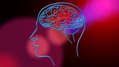 Alzheimer: scoperto il meccanismo del cervello che danneggia la memoria