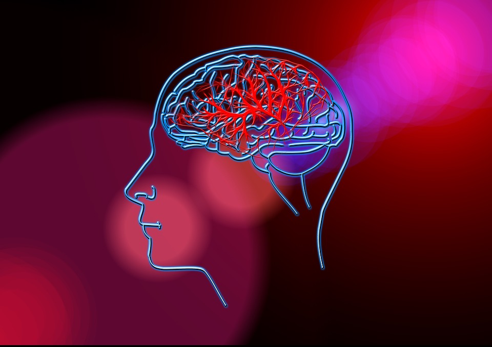 Alzheimer: scoperto il meccanismo del cervello che danneggia la memoria