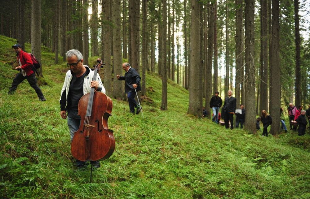 Magia in Val di Fiemme con la foresta dei violini [VIDEO]