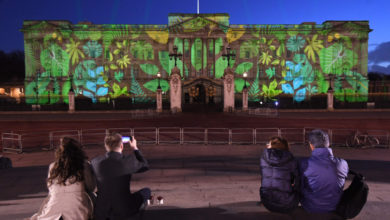 Buckingham Palace in verde: l'iniziativa ecologica della regina Elisabetta