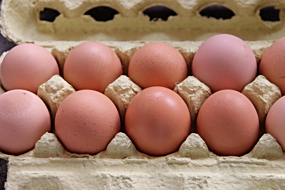 Oltre 200 milioni di uova ritirate per salmonella: ecco dove