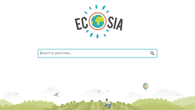 Cresce Ecosia, il motore di ricerca che pianta alberi