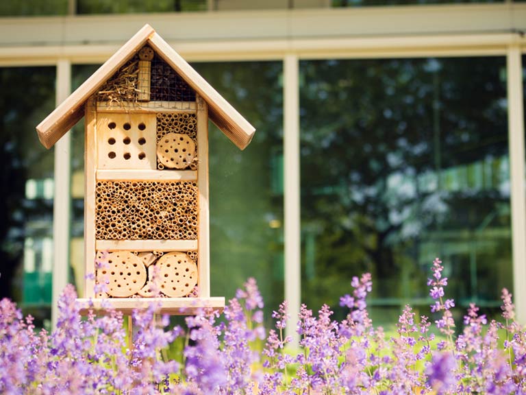 In arrivo il primo Bee Hotel di Roma, un albergo che ospita le api