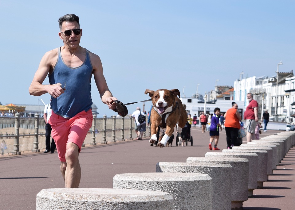 Correre con il proprio cane: quali sono le razze più adatte