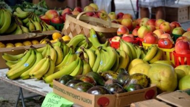 Frutta e verdura, per l'acquisto arrivano le retine riutilizzabili