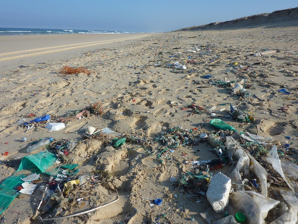 Plastic Radar, il servizio per segnalare i rifiuti in spiaggia con lo smartphone