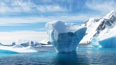 In Antartide si sono sciolte tremila tonnellate di ghiaccio in 25 anni