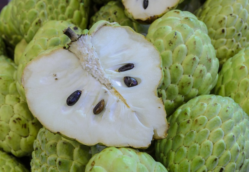 Annona, il frutto esotico che arriva dalla Calabria