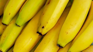 Le banane sono a rischio estinzione: in Madagascar la specie da proteggere