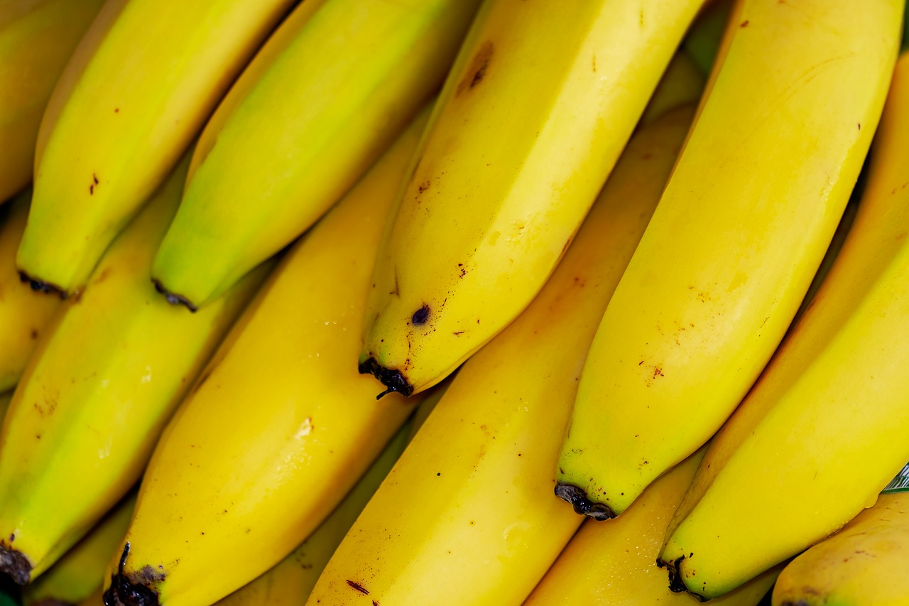 Le banane sono a rischio estinzione: in Madagascar la specie da proteggere