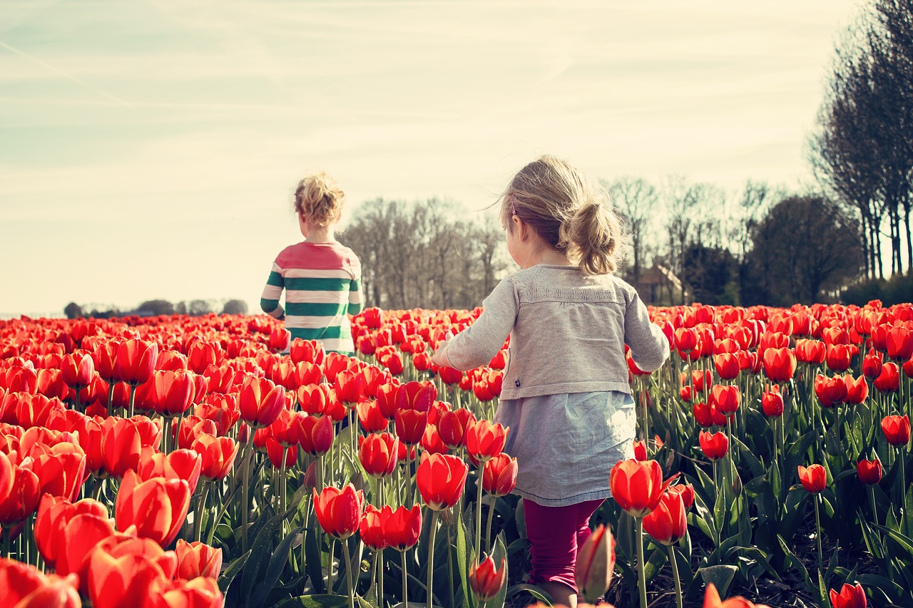 Vivere in mezzo al verde fa bene al cervello dei bambini: lo studio