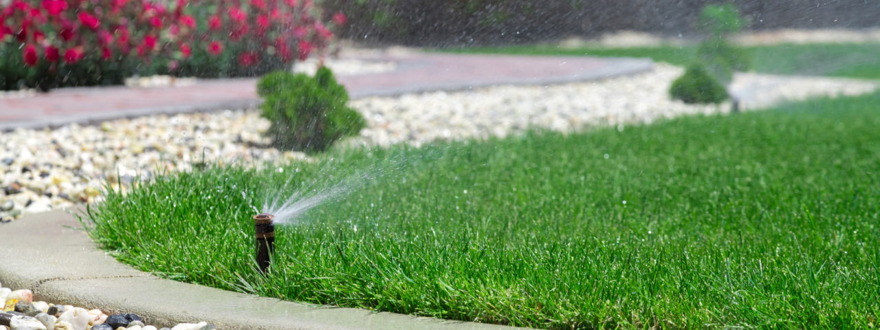 Si chiama Idroplan l'irrigatore smart che permette di risparmiare acqua