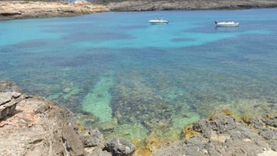 Lampedusa e Pollica plastic free: bandite stoviglie monouso