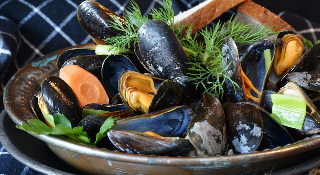 Cozze sempre meno commestibili per colpa dei cambiamenti climatici