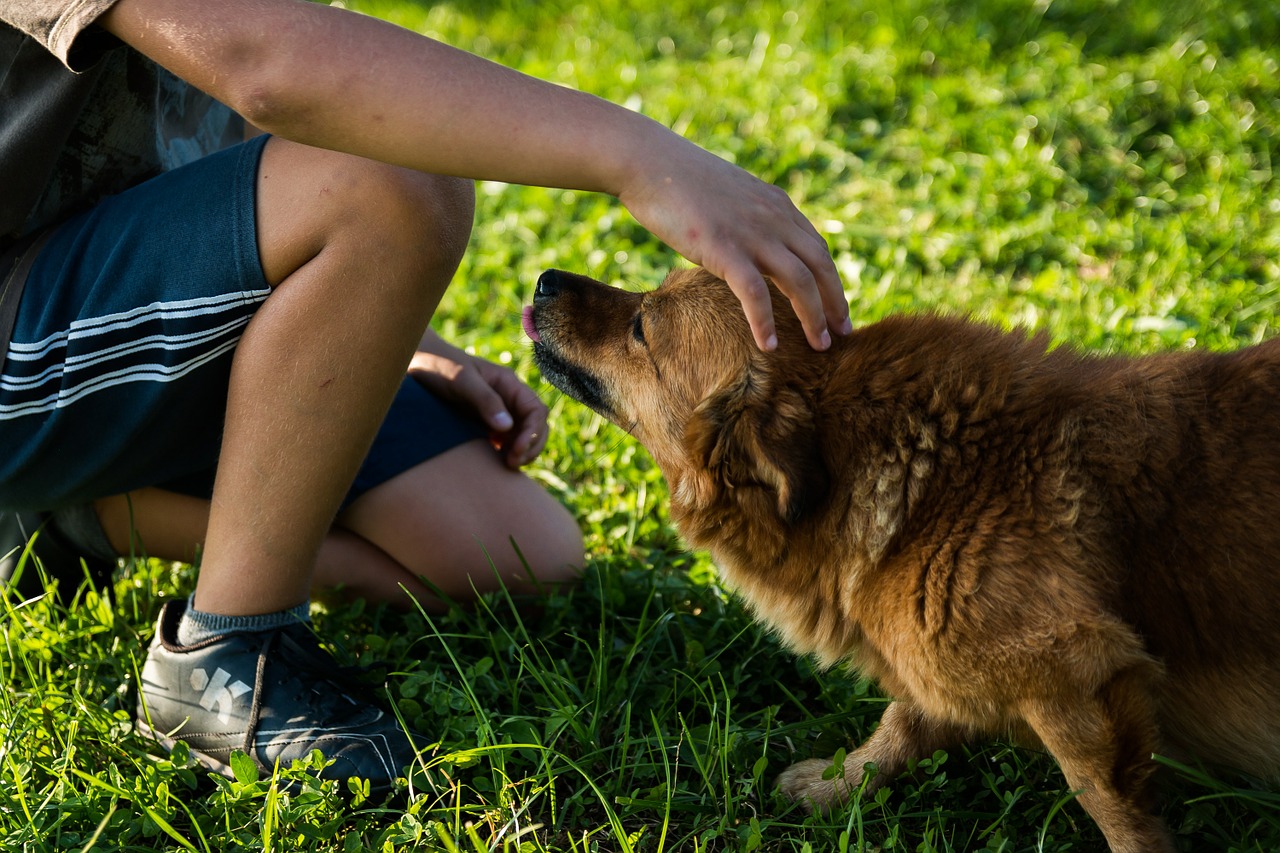 Avere un cane rende più felici e fa bene alla salute: ecco perché