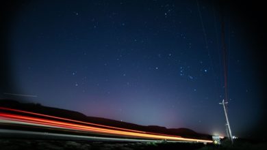 notte di san lorenzo stelle cadenti