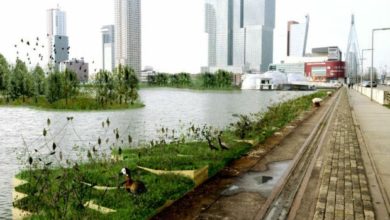 Inaugurato a Rotterdam un parco galleggiante fatto di plastica riciclata