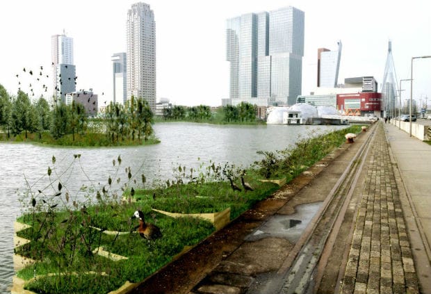 Inaugurato a Rotterdam un parco galleggiante fatto di plastica riciclata