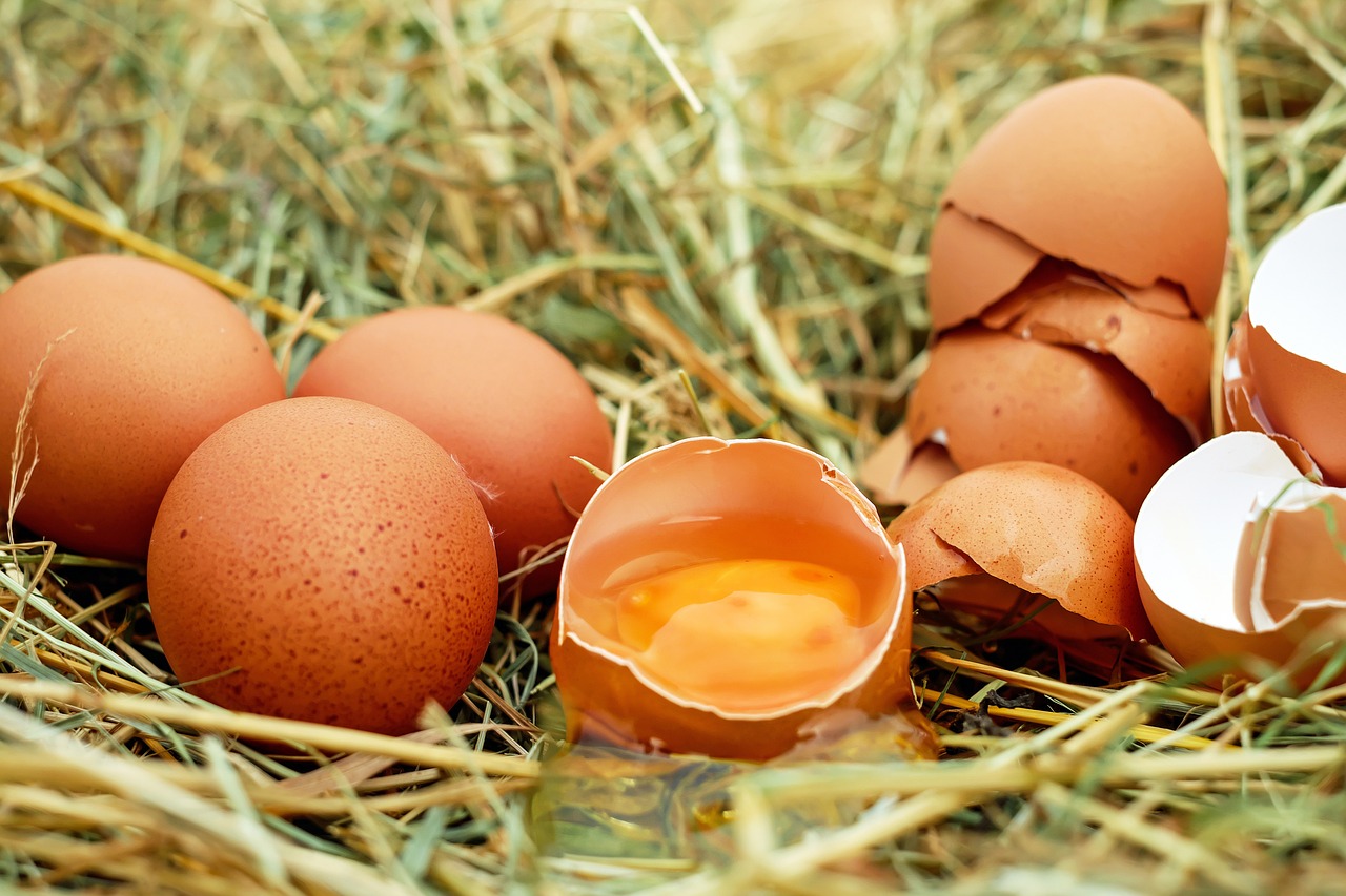 Salmonella nelle uova: i lotti ritirati dal Ministero della Salute