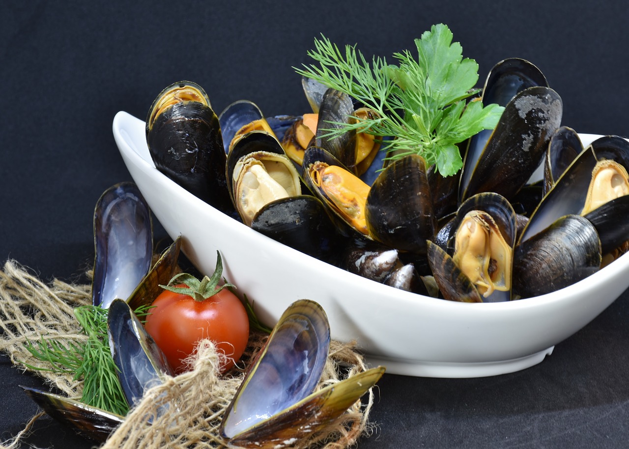 Allarme alimentare, cozze in arrivo dalla Grecia contaminate da eschirichia coli