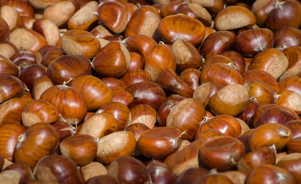 Le castagne, cibo dell'autunno: le proprietà nutrizionali