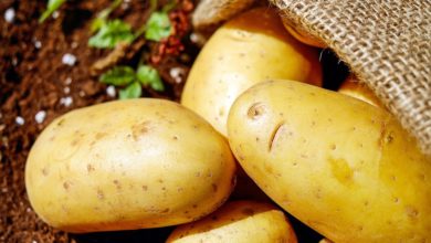 Bioplastica: in arrivo le posate realizzate con le patate