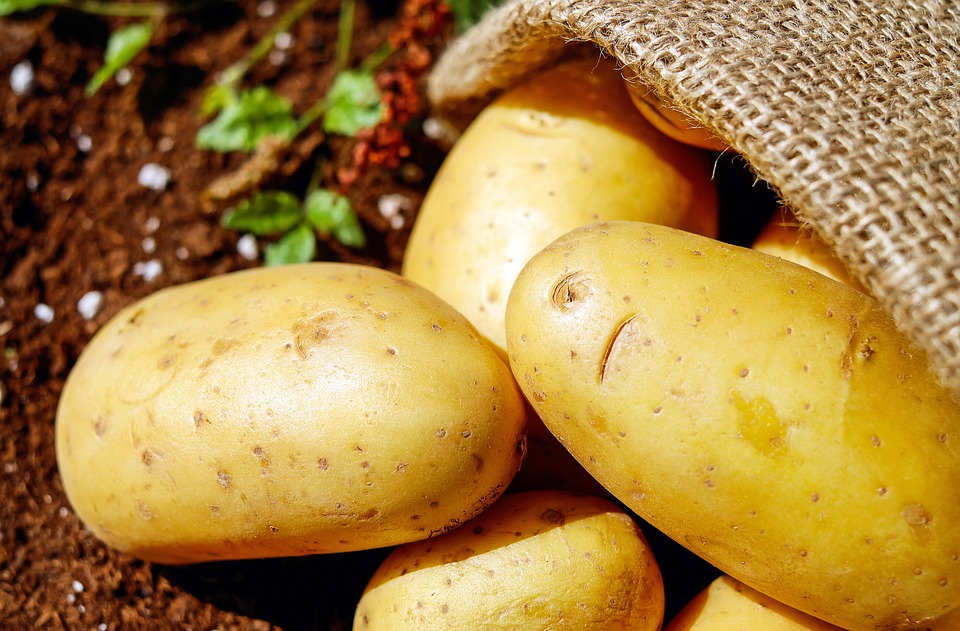 Bioplastica: in arrivo le posate realizzate con le patate