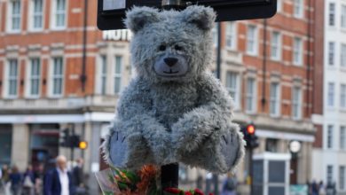 Un orsetto al semaforo che tossisce per lo smog nelle strade di Londra