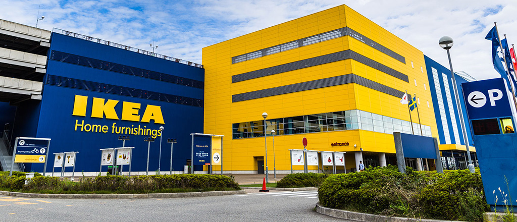 Ikea, lo store di Catania diventa un rifugio per i cani randagi
