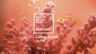 Living coral è il colore Pantone del 2019: dedicato all'attenzione per l'ambiente